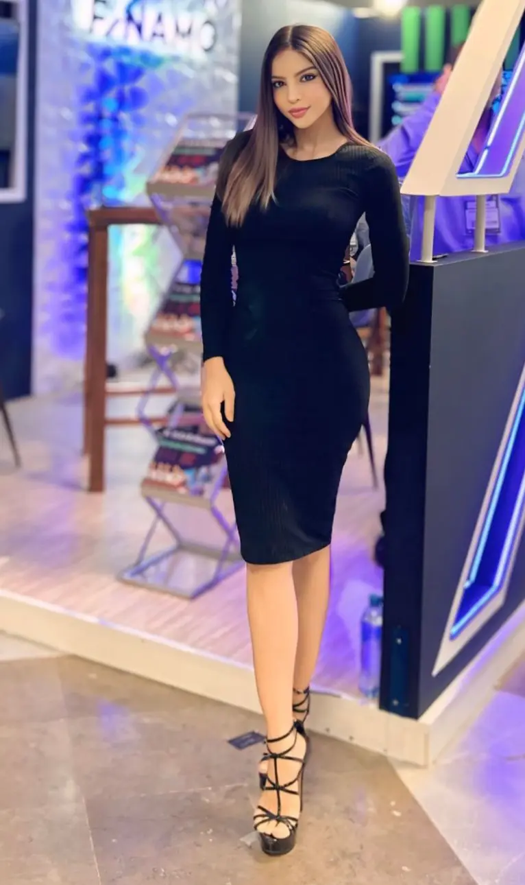 Portfolio Dayanna  T.